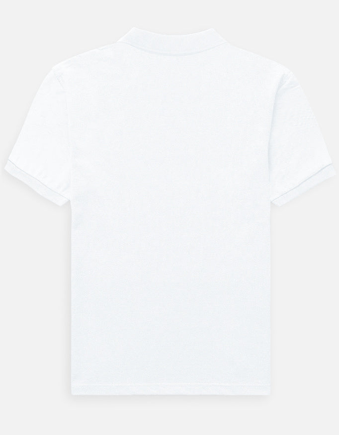 Back_3_c_1.jpg